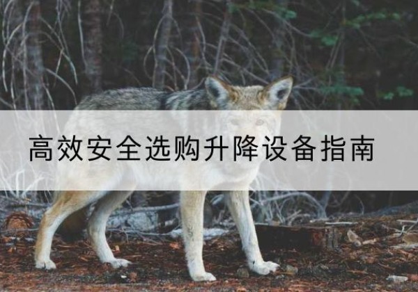 洞头升降货梯厂家推荐-*安全选购升降设备指南