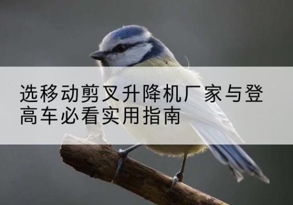 洞头电动升降机厂家-选移动剪叉升降机厂家与登高车必看实用指南
