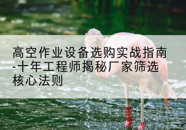 洞头剪叉式升降机厂家-高空作业设备选购实战指南-十年工程师揭秘厂家筛选核心法则