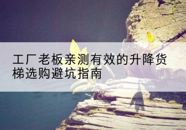 洞头升降货梯怎么选-工厂老板亲测有效的升降货梯选购避坑指南